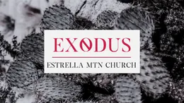 Exodus series artwork