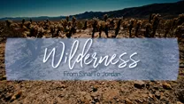 Wilderness: From Sinai to Jordan series artwork