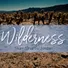 Wilderness: From Sinai to Jordan series artwork