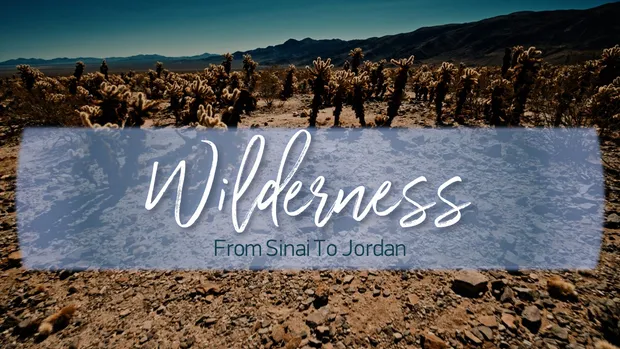 Wilderness: From Sinai to Jordan series artwork